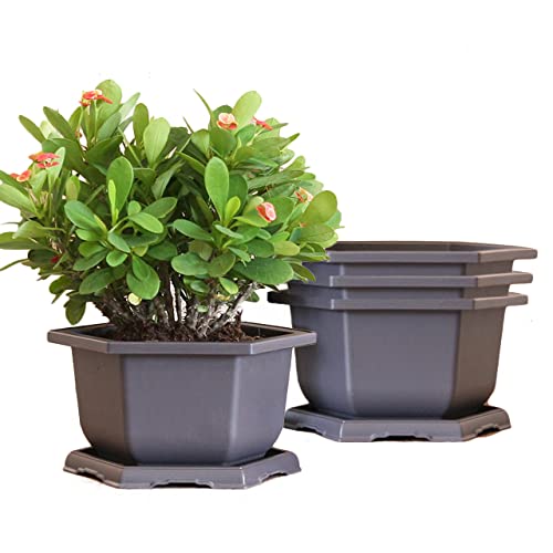 MissFox Bonsai Schale 4 Stücke Plastik Blumentopf mit Untersetzer Sechseckiges Bonsai Topf aus Kunststoff Bonsai Trainingstöpfe Kit für Garten Wohnzimmer Büro (20x12cm) von MissFox