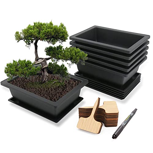 MissFox Bonsai Schale mit Untersetzer, 6 Stücke Bonsai-Trainingstöpfe aus Kunststoff, Blumentopf Rechteckig mit Tablett, Topfpflanzen Pflanztopf für Garten, Bonsai Topf mit Pflanzenschilder und Stift von MissFox