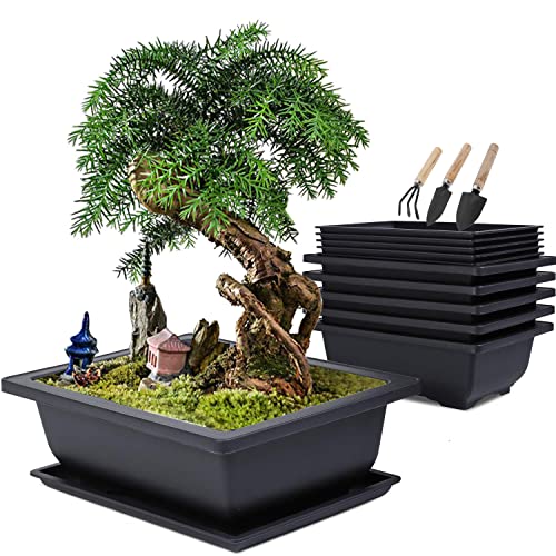 MissFox Bonsai Schale mit Untersetzer, Bonsai-Trainingstöpfe aus Kunststoff, Pflanztopf für Garten, 6 Stücke Blumentopf Rechteckig Groß mit 6 Tablett und 3 Mini Gartenwerkzeug Set, 23x17x8cm von MissFox