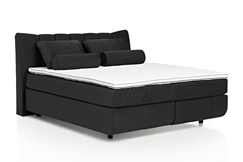 Mivano Free Boxspringbett/Bett mit 7-Zonen-Taschenfederkern-Matratze und Basic Topper/Härtegrad H2 + H4, Velours Cosy Anthrazit, Liegefläche 180 x 200 cm von Mivano