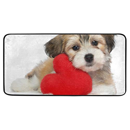 Küchenmatte Havanese Puppy Mit Rotem Herz Muster rutschfeste Rückseite Fußmatte Boden Küche Teppiche Bad Läufer Matten Teppich, 99 X 50.8CM von Mnsruu