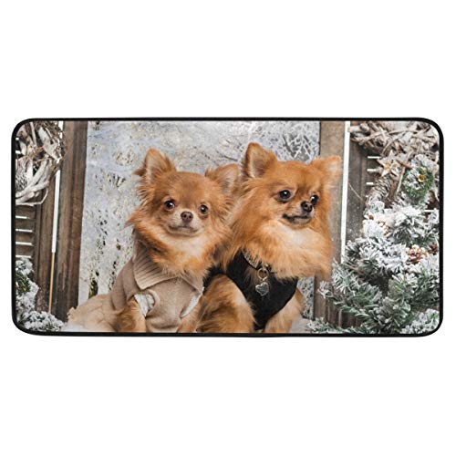 Küchenmatte Zwei Chihuahua Hunde Muster rutschfeste Rückseite Fußmatte Boden Küche Teppiche Bad Läufer Matten Teppich, 99 X 50.8CM von Mnsruu