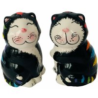 Katze Kätzchen Salz Pfeffer Streuer Figur Anthropomorphic Regenbogen Streifen Geschenkpaar von MommaofThreeMonkeys