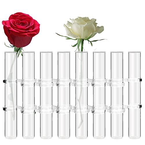 Aufklappbare Blumenvase | 8 Stück/6 Stück transparente Tischvasen | Hydrokultur-Pflanzenvase, Reagenzglas-Blumenvase aus Glas, Blumenarrangement-Vase mit Haken und Bürste von Moxeupon