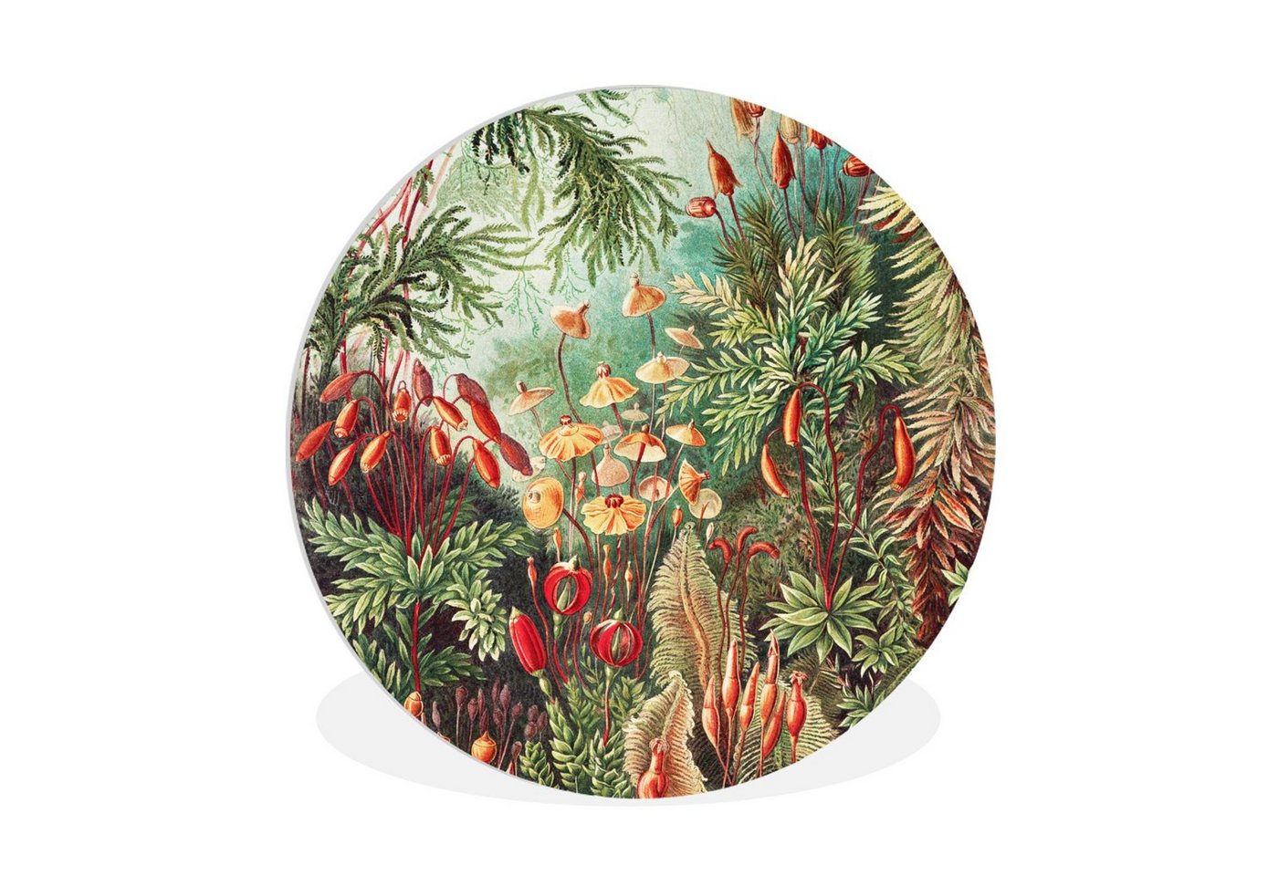 MuchoWow Gemälde Blumen - Kunst - Vintage - Natur - Botanisch, (1 St), Rundes wandbild für Wohnzimmer, Wandkreis, Wandschmuck, 90x90 cm von MuchoWow