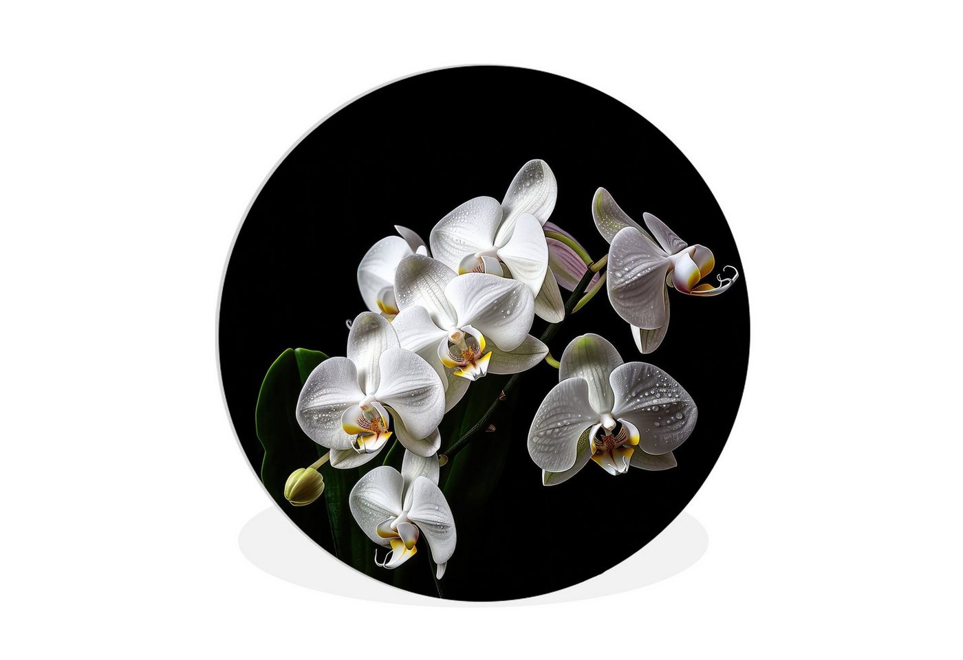 MuchoWow Gemälde Orchidee - Blumen - Weiß - Natur - Schwarz, (1 St), Rundes wandbild für Wohnzimmer, Wandkreis, Wandschmuck, 90x90 cm von MuchoWow