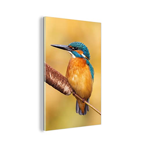 MuchoWow Glasbild Glasfoto Wandbild Bilder Deko 40x60 cm Eisvogel - Natur - Vogel von MuchoWow