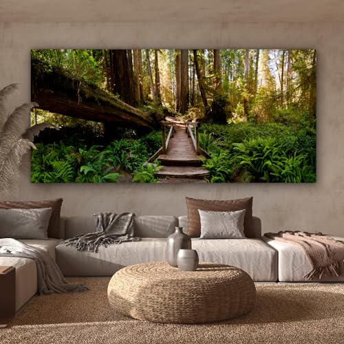 MuchoWow Leinwand Bilder, Einzigartige Wanddeko mit Rahmen, Dschungel - Natur - Treppe - Bäume, Wandbilder Wohnzimmer, Deko Schlafzimmer 160x80 cm von MuchoWow