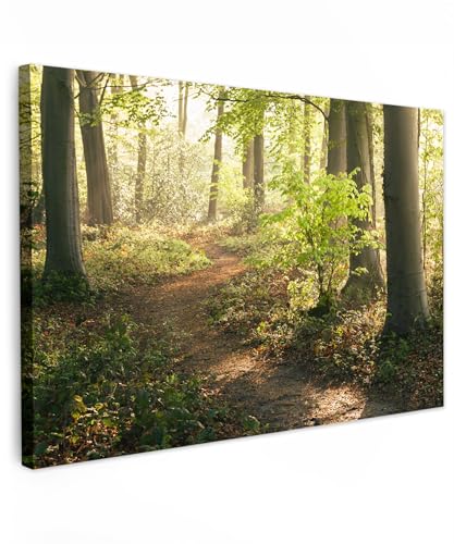 MuchoWow Leinwand Bilder, Einzigartige Wanddeko mit Rahmen, Wald - Bäume - Weg - Sonne - Pflanzen - Laub - Natur, Wandbilder Wohnzimmer, Deko Schlafzimmer 150x100 cm von MuchoWow