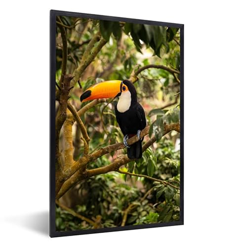 MuchoWow Poster Bilder Wanddeko Deko Wohnzimmer 60x90 cm Vogel - Tukan - Dschungel - Natur - Tropisch von MuchoWow