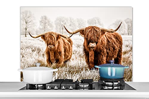 Spritzschutz Küche Küchenrückwand Alu Poster Bilder 100x65 cm Schottischer Hochländer - Kuh - Tiere - Natur - Heidekraut von MuchoWow