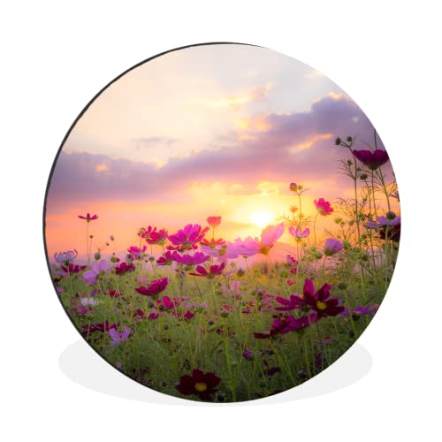 MuchoWow Wandbild Rund Wanddeko Deko Wohnzimmer Bilder 60x60 cm Blumen - Rosa - Sonnenuntergang - Natur - Wiese - Horizont von MuchoWow