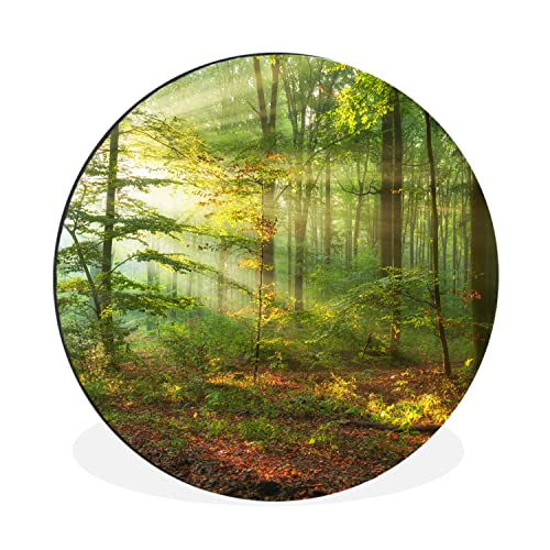 MuchoWow Wandbild Rund Wanddeko Deko Wohnzimmer Bilder 90x90 cm Sonne - Wald - Bäume - Natur - Herbst von MuchoWow