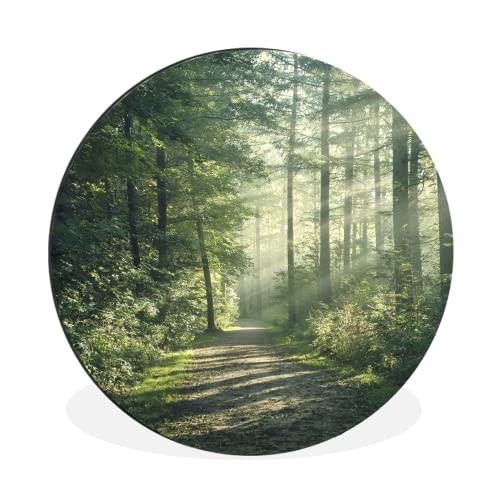 MuchoWow Wandbild Rund Wanddeko Deko Wohnzimmer Bilder 90x90 cm Wald - Weg - Sonne - Bäume - Grün - Natur von MuchoWow