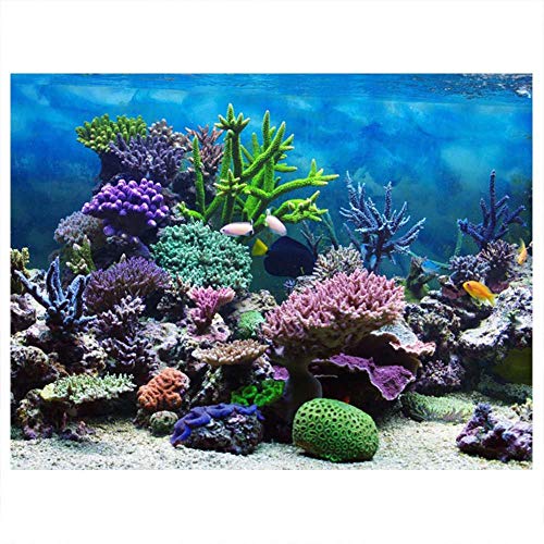 Mumusuki PVC Aquarium-Poster, Aufkleber Unterwasser Ozean Korallen Aquarium Hintergrund Poster Verdickt PVC Kleber festes Träger dekoratives Papier (61 * 41cm) von Mumusuki