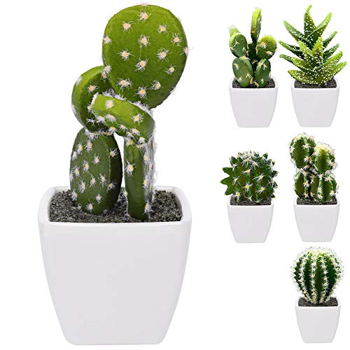 Murago 6 Stück künstliche Kakteen im weißen Topf ca.10-13cm Mini klein Künstlicher Kaktus Kunstpflanze mit Blumentopf Tisch Dekoration Murago 6 Stück künstliche Kakteen im weißen Topf ca.10-13cm Mini klein Künstlicher Kaktus Kunstpflanze mit Blumentopf Tisch Dekoration von Murago