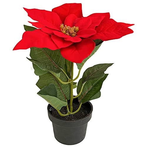 Murago - Künstlicher Weihnachtsstern ca.20cm - Rot - mit im Topf Kunstblumen Kunstpflanzen Blümchen Topfflanze für Weihnachten weihnachtliche Weihnachtsdekoration Blüte von Murago