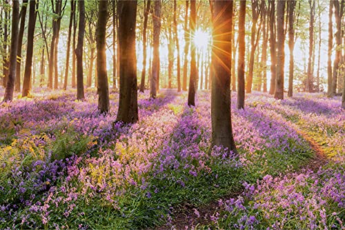 Muralo Fabelhafte Vlies Fototapete 450x300 Wald Blumen Natur 3D Moderne Tapete Wohnzimmer Schlafzimmer Wandbilder Wandtapete XXL Luxus Abstrakt Br. 450 cm x Hö. 300 cm von Muralo