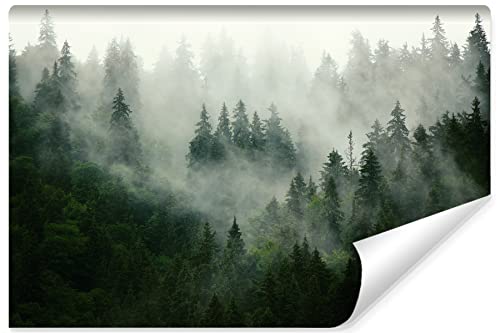 Muralo Fototapete WALD IM NEBEL Wandtapeten Bäume Grün Natur Wohnzimmer Schlafzimmer Esszimmer Moderne Wandbilder XXL Landschaft Panorama Wand Dekoration (SELBSTKLEBEND, Br. 180 cm x Hö. 120 cm) von Muralo