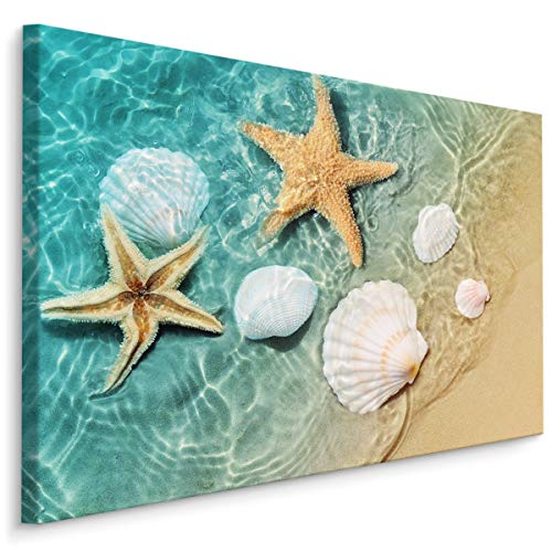 Muralo Leinwandbilder 40x30 Natur Meer Wasser Leinwand Wandbild Kunstdruck Sonne Strand Sand Muscheln Schlafzimmer Wohnzimmer Wanddekoration Design XXL 685 Br. 40 cm x Hö. 30 cm von Muralo