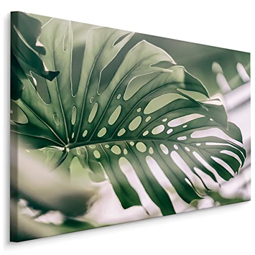 Muralo Leinwandbilder 70x50 Natur Pflanzen Blätter Monstera Grün Exotisch Canvas Wandbild Kunstdruck Schlafzimmer Wohnzimmer Wanddekoration Design XXL Br. 70 cm x Hö. 50 cm Br. 70 cm x Hö. 50 cm von Muralo