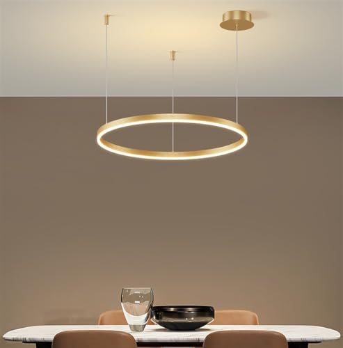 LED Pendellampe Wohnzimmerlampe Moderne Pendelleuchte Dimmbar Mit Fernbedienung Aluminium Kronleuchter Metall Acryl Hängelampe Esstischlampe Schlafzimmer Deckenleuchte Beleuchtung Gold 1-Ring 80CM von MyLjp