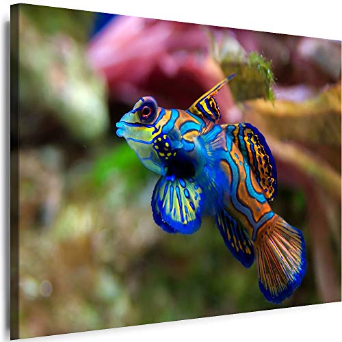 Myartstyle - Bilder Fische Natur Meer Tiere 60 x 40 cm Leinwandbilder XXL - 1 Teilige Wandbilder Kunstdrucke w-a-2060-43 von Myartstyle