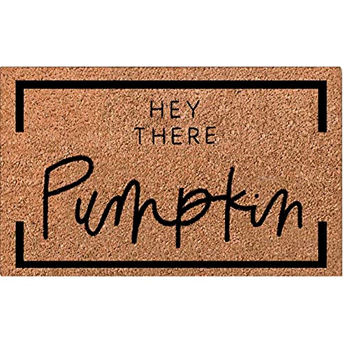 N/Ａ 3D Fußmatte Hey There Pumpkin Fall Decor Hallo Willkommensmatte Handbemalt, benutzerdefinierte Fußmatte Süße Fußmatte Outdoor-Fußmatte-20x28 inch von N/Ａ