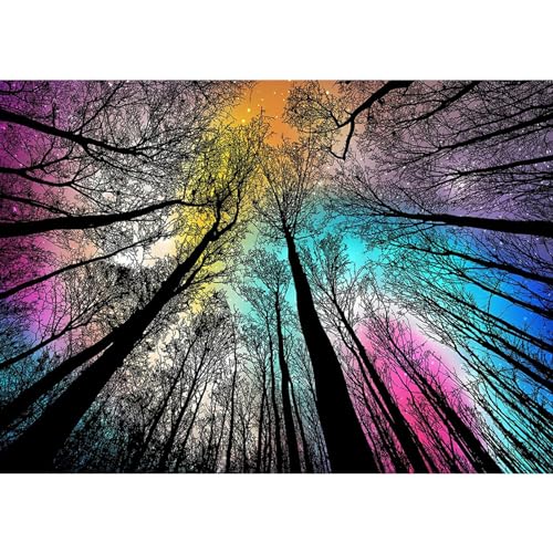 NAIMOER Bäume Diamond Painting Regenbögen Diamant Painting Bilder, Diamond Painting Erwachsene Wälder Diamond Painting Kinder Landschaften Diamant Kunst Set 5D Diamant Malerei für Home Décor 30x40cm von NAIMOER