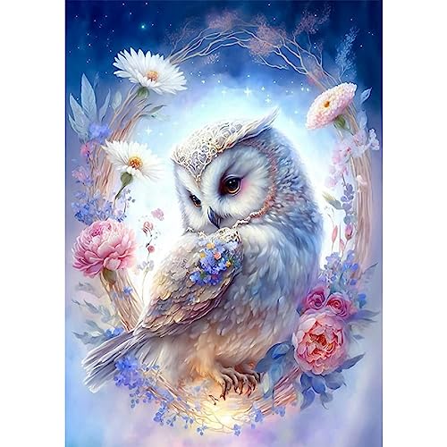 NAIMOER Vögel Diamond Painting Kits für Erwachsene Kinder, 5D Diamant Painting Bilder Tiere Erwachsene, DIY 5D Diamond Painting Fantasie Blumen Diamant Malerei Set für Home Wand Dekor 30x40cm von NAIMOER