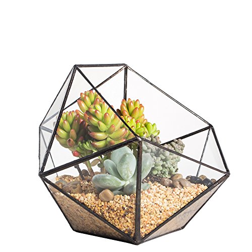NCYP 17x17x17cm Handmade Blumentopf, Geometrisches Glasterrarium, in Form Einer Halbkugel, für Balkon, Tischdeko, als Blumentopf für Miniatur-Bonsai, ​Übertopf für Sukkulente (ohne Pflanzen) von NCYP