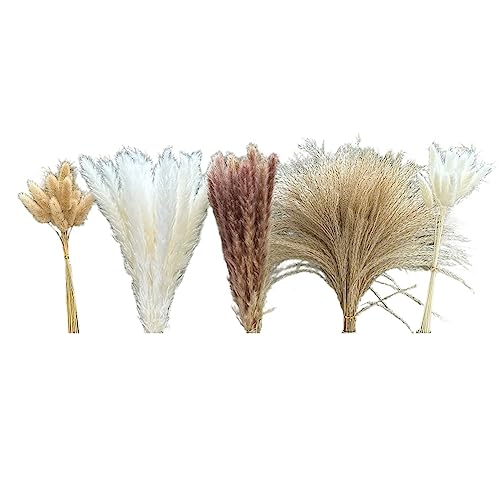 NERTOEE 150 Stück Pampasgras Dekoration Pampasgras Boho Home Decor Pampasgras enthält Hasen Weiß Pampas Braun Pampas Dekor von NERTOEE