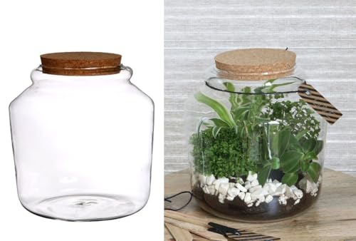 NaDeco Pflanzen-Terrarium aus Glas, mit Korken, in Zwei Größen wählbar | Pflanzenterrarium | Flaschengarten | Glas Terrarium für Pflanzen | Biosphären-Glas | Pflanzenglas, Größe:Ø18 h.18 cm von NaDeco