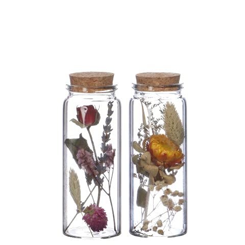 NaDeco Trockenblumen im Glas mit Korken in vielen Größen zur Auswahl Boho-Deko Trockenblumen-Bouquet im Glas Glasflasche mit Trockenblumen Vintage -Trockenblumen im Glas, Größe:h.12.5 Ø 4.5 cm von NaDeco