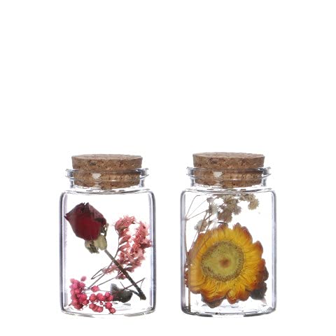 NaDeco Trockenblumen im Glas mit Korken in vielen Größen zur Auswahl Boho-Deko Trockenblumen-Bouquet im Glas Glasflasche mit Trockenblumen Vintage -Trockenblumen im Glas, Größe:h.7.5 Ø 4.5cm von NaDeco