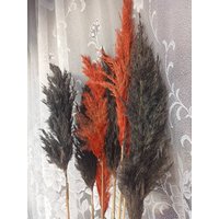 Pampas Gras Schwarz, Orange Gras, Getrocknete Blumen, Getrocknete Dekor, Halloween Dark Bouquet, Home Dekor von Naturallydryflora