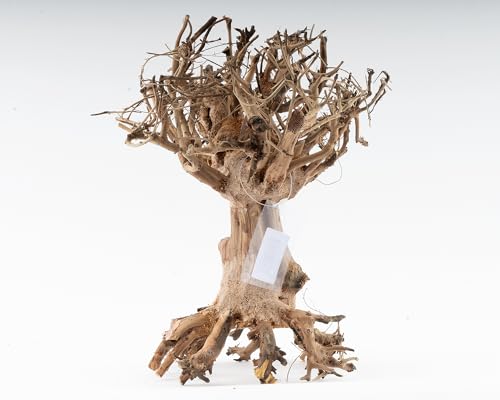 NatureHolic Mammut Bonsai | Echtholz Wurzel | Holz Aquarien Dekoration | Für Aquarium & Terrarium | Größe:M von NatureHolic