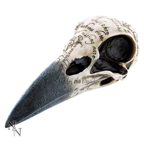 Nemesis Now Edgar's Rabe Skull Figur 25 cm Elfenbein von Nemesis Now