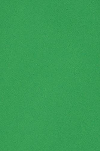 Netuno 100 x Tonkarton DIN A4 210x 297 mm Grün 250g Burano Verde Bandiera Bastel-Karton farbig Fotokarton A4 bunt Karton Hochzeit Taufe Weihnachten Geburtstag DIY-Karten buntes Tonpapier von Netuno