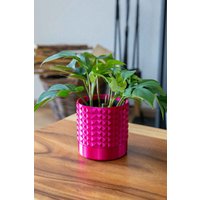 studs Planter - Viele Farboptionen/Drainage Und Tablett Erhältlich Perfekte Persönliche Geschenk-Wohndekoration Passend Für Sukkulenten von NewAntheia