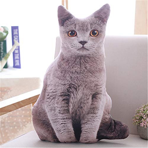 Nicole Knupfer 3D Zierkissen mit waschbarem Bezug, Cute Katze, Dekokissen, weiches Kopfkissen, Sofakissen Couchkissen Home Decoration, geeignet für Allergiker (A,50cm) von Nicole Knupfer