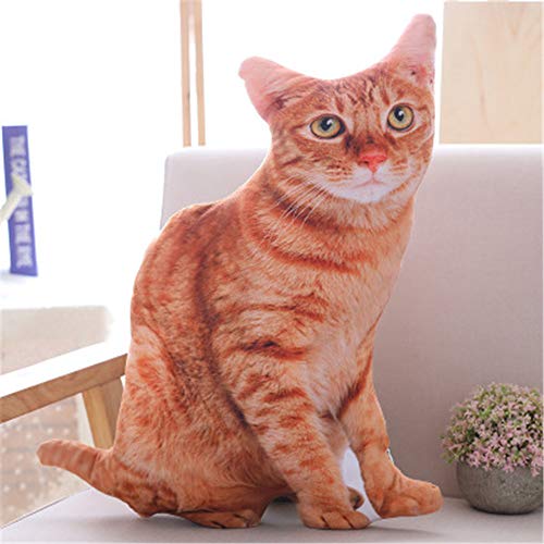 Nicole Knupfer 3D Zierkissen mit waschbarem Bezug, Cute Katze, Dekokissen, weiches Kopfkissen, Sofakissen Couchkissen Home Decoration, geeignet für Allergiker (B,70cm) von Nicole Knupfer