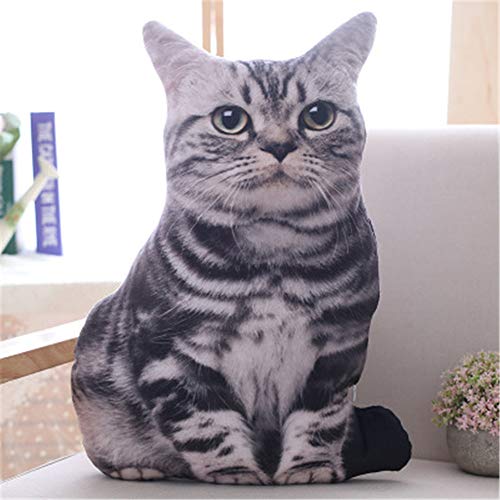 Nicole Knupfer 3D Zierkissen mit waschbarem Bezug, Cute Katze, Dekokissen, weiches Kopfkissen, Sofakissen Couchkissen Home Decoration, geeignet für Allergiker (C,50cm) von Nicole Knupfer