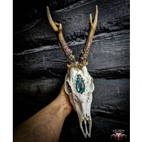 Auf Bestellung Gefertigt Echter Rehschädel Schnörkel Ornamente Schnitzerei Geschenk Freundin Filigraner Bock Cabochon Blaues Tigerauge 3x von NicoleBartkowiak