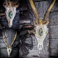 Auf Bestellung Gefertigt Echter Rehschädel Schnörkel Ornamente Schnitzerei Geschenk Freundin Filigraner Bock Cabochon Blaues Tigerauge 3x von NicoleBartkowiak