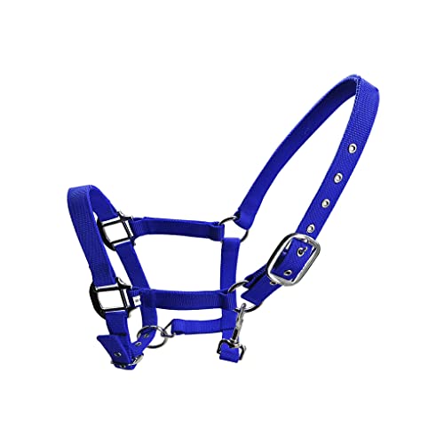 Nilioyul Gepolstertes Halfter Pony Zaumzeug Kopfhalsband, praktisch zum Tragen von Pferdezubehör, rostfrei, professionelles Kopfstück Racing Schabracke, Blau, M von Nilioyul