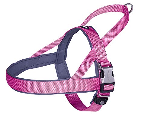 Nobby Geschirr Classic Preno Royal rosa; L: 38-50 cm + 36 cm; B: 20/25 mm von Nobby