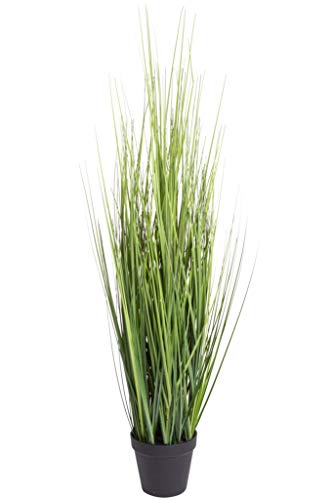 Nova-Nature künstliches Grasarrangement King Festuca im schwarzen Kunststofftopf (ca. 86 cm) von Nova-Nature