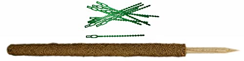 Novatool Rankhilfe 60 cm und Pflanzenbinder I Befestigungsset Moosstab Efeutute I Zimmerpflanze Kokosstab von Novatool