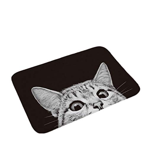 Nunbee Fußmatte Schwarze und weiße Katze Designe Anti Rutsch Unterlage Wasseraufnahme Teppich Praktische Schmutzfangmatte Haustür Flur Innenbereich Aussen Lustig, Katze 9 40 * 60cm von Nunubee